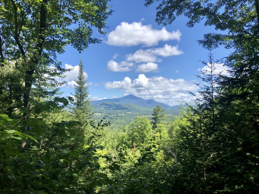 View of Whiteface Mountain from Henry's Woods in Lake Placid, NY